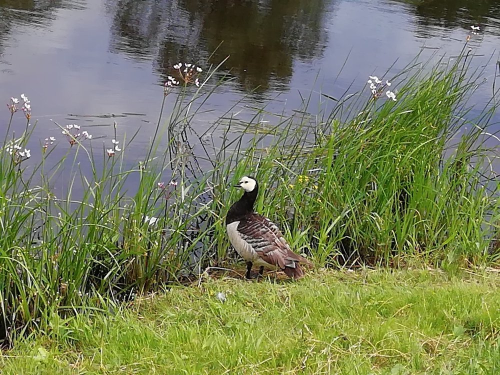 Photograph by Михаил Кузьмиченко