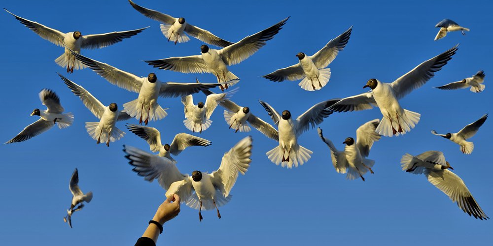 Photograph by Peter Hennig