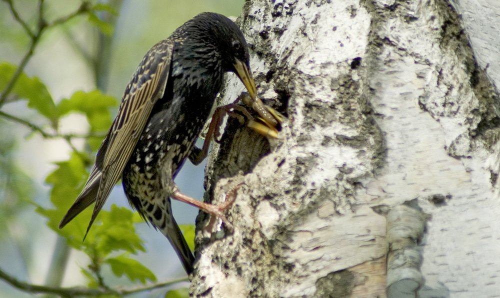 Photograph by Peter Hennig