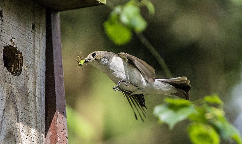 Photograph by Peter Hennig