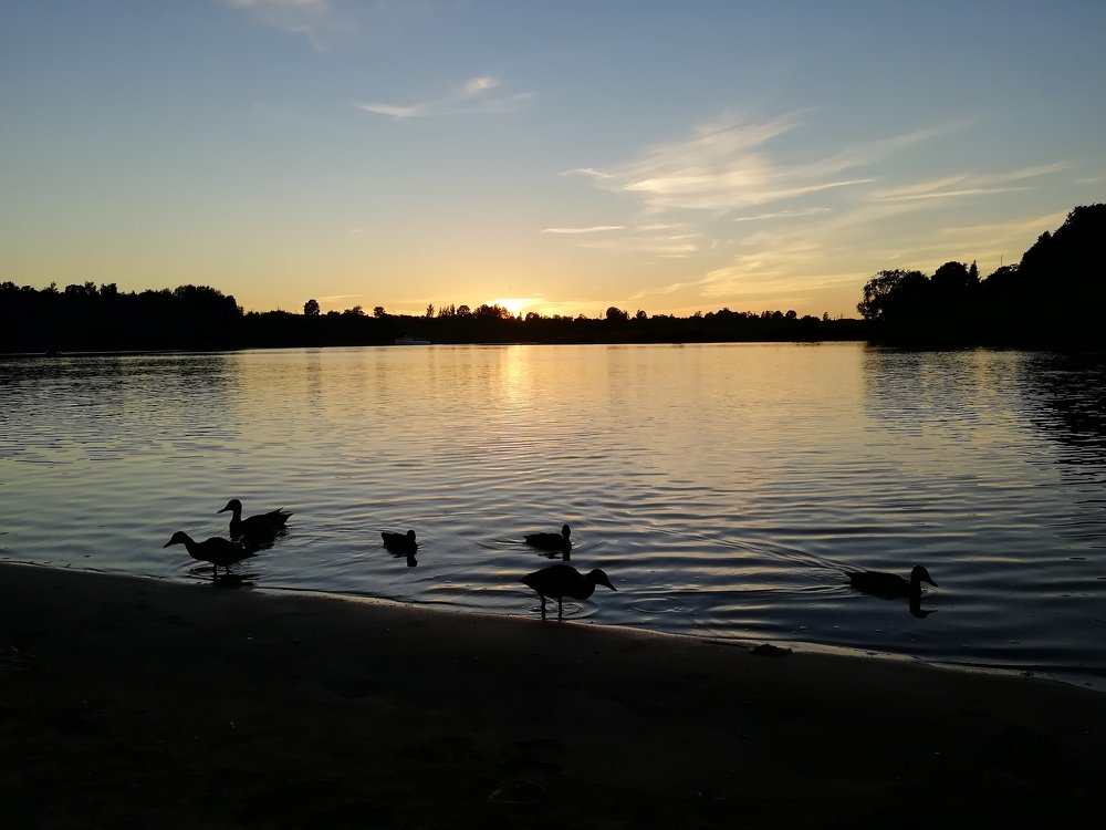 Photograph by Михаил Кузьмиченко