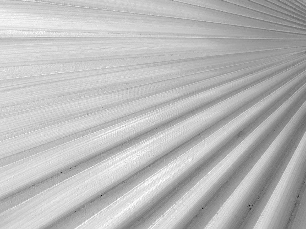 Photograph by Talal Hrout