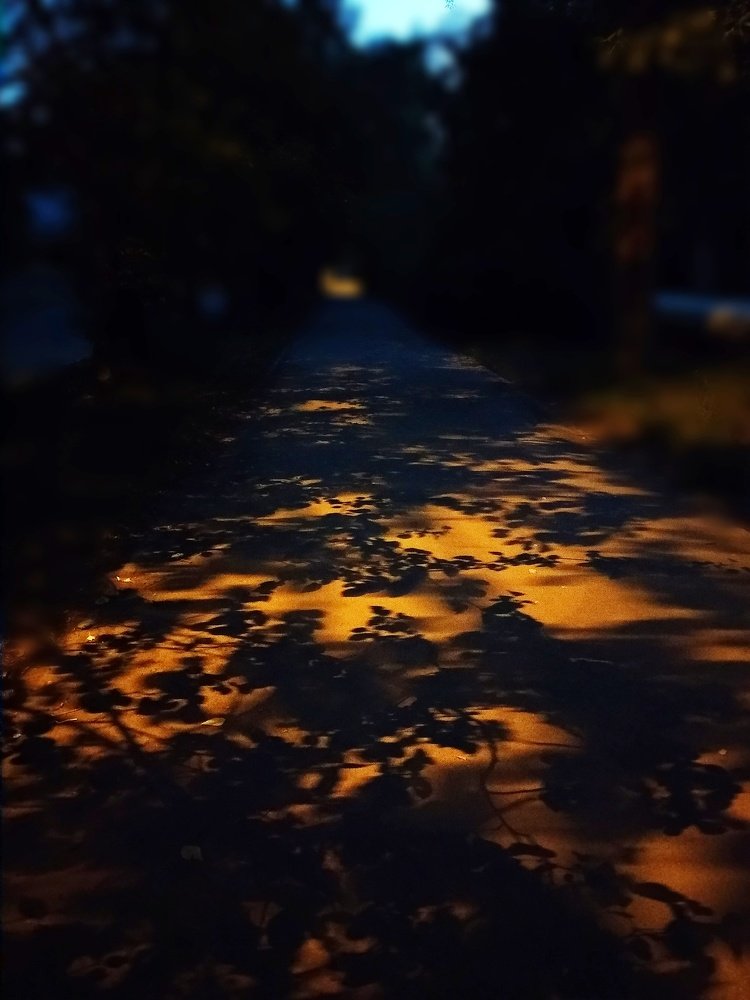 Photograph by Олеся Лосыгина