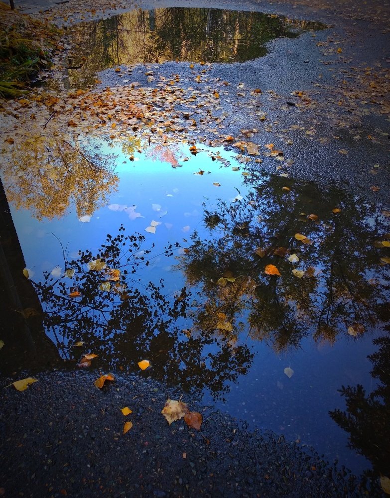 Photograph by Олеся Лосыгина