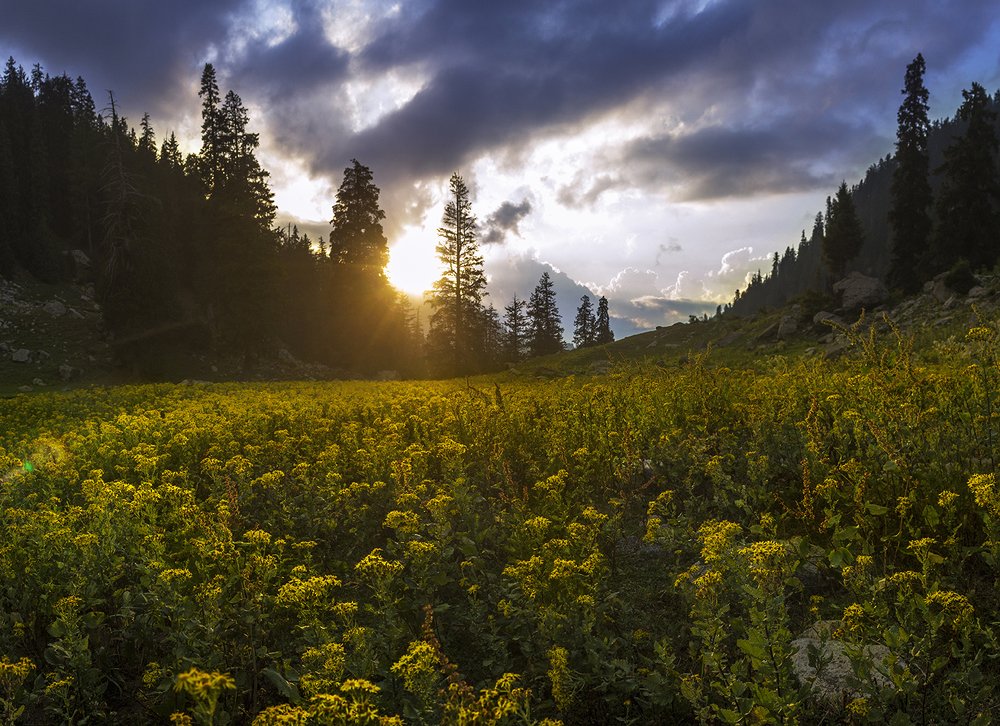 Photograph by Afzal Waqas