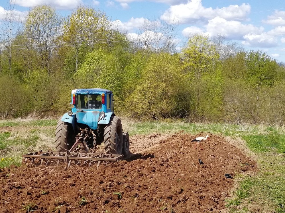 Photograph by Михаил Кузьмиченко