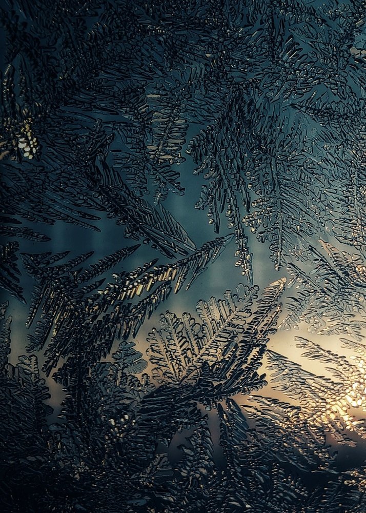 Photograph by Ольга Распопова