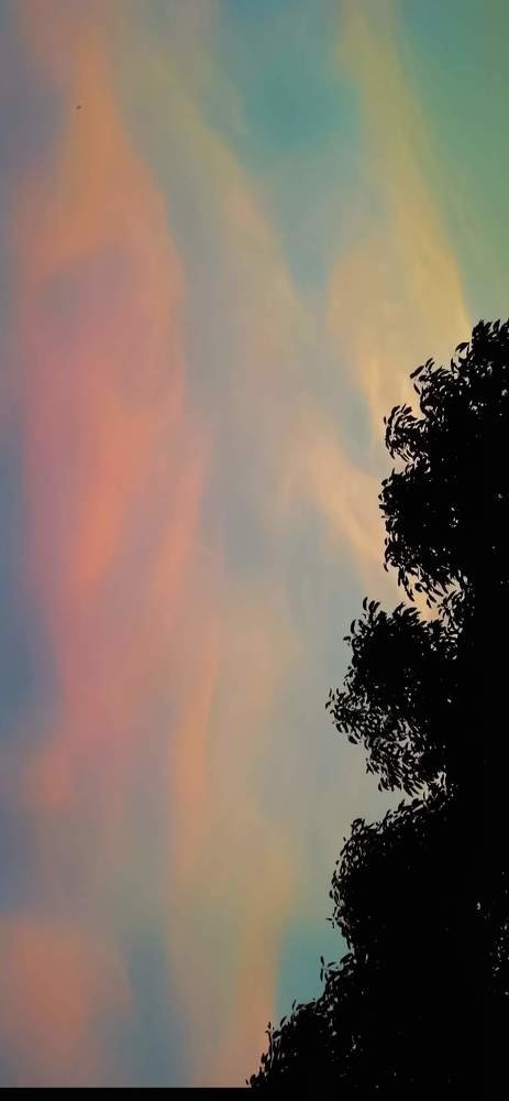 Lockdown Sky