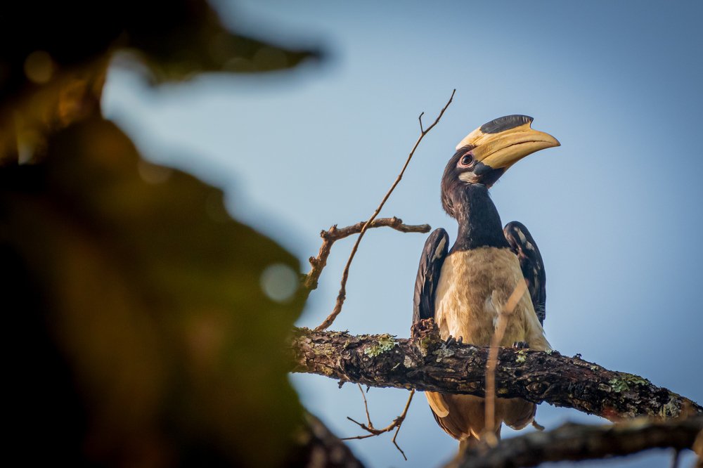 Photograph by Sreenivasan Rajendran