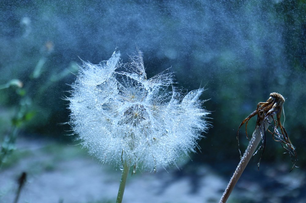 Photograph by Maryna Sydorova