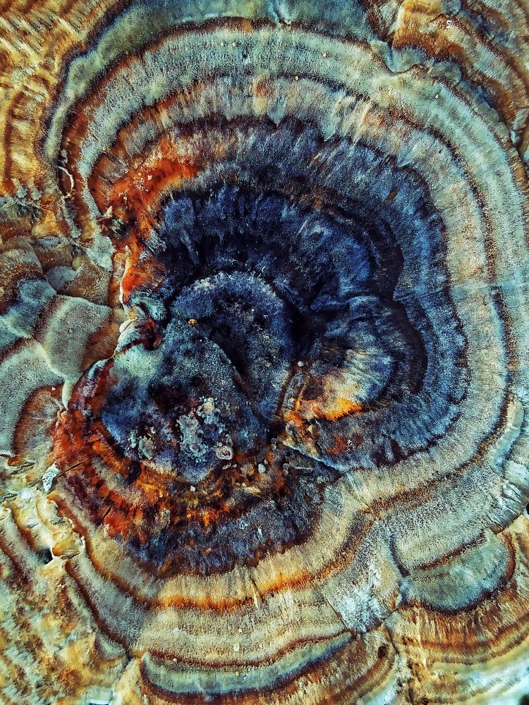 Photograph by Елизавета Лутцева