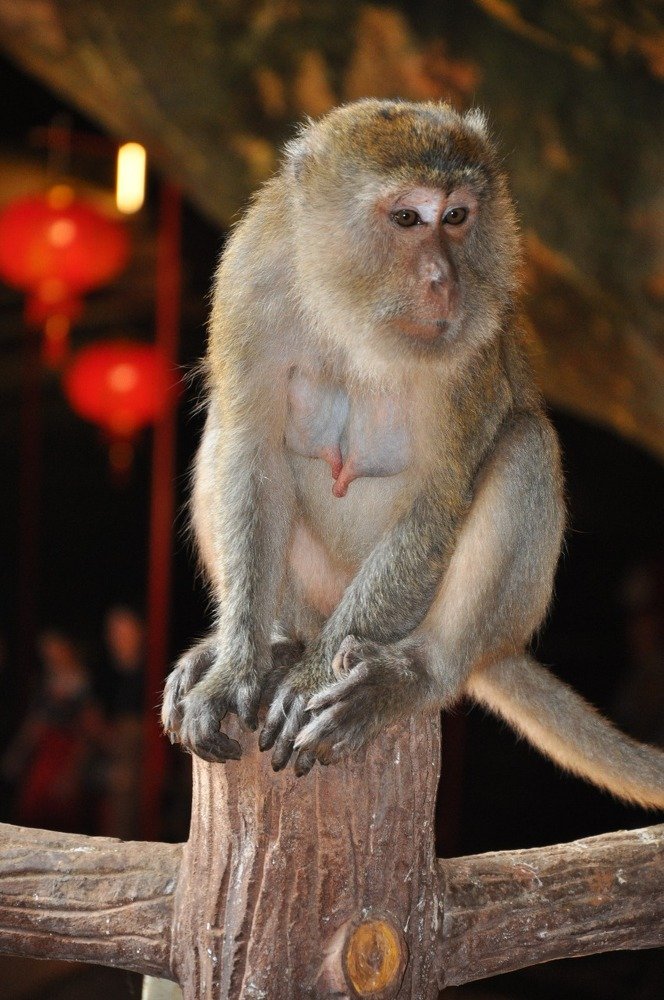 Photograph by Анна Савельева