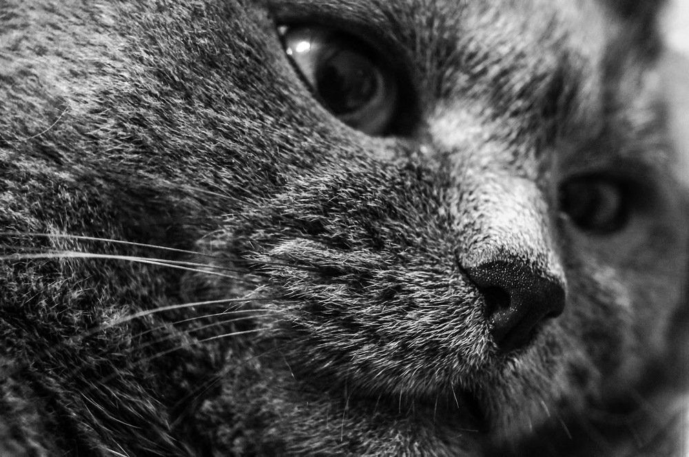 Photograph by Варвара