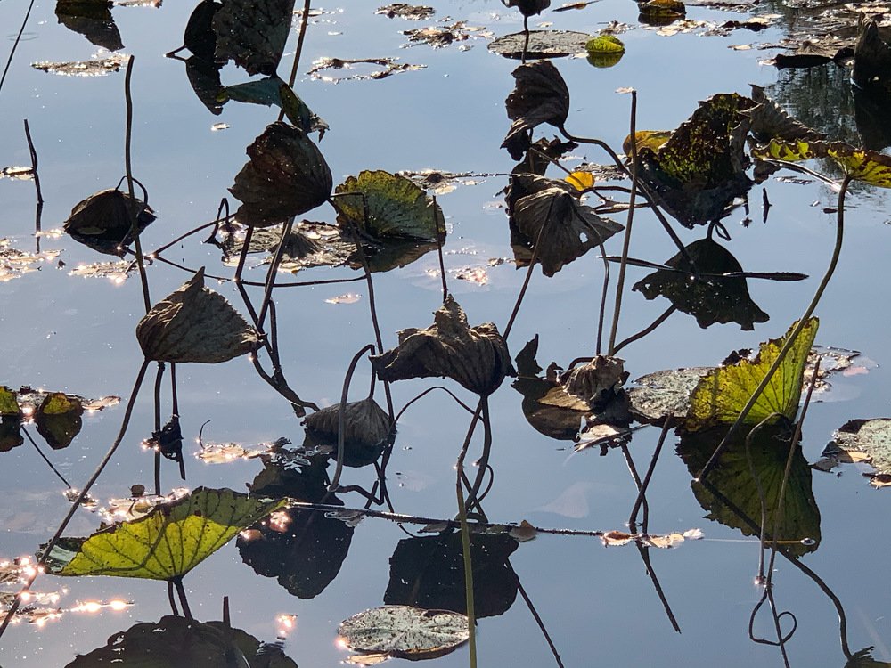 Photograph by Сергей Музраев