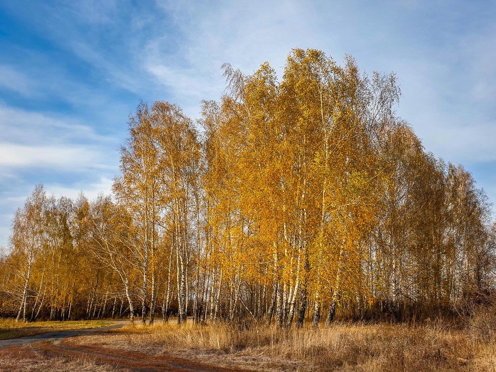 Photograph by mikhail goryachev