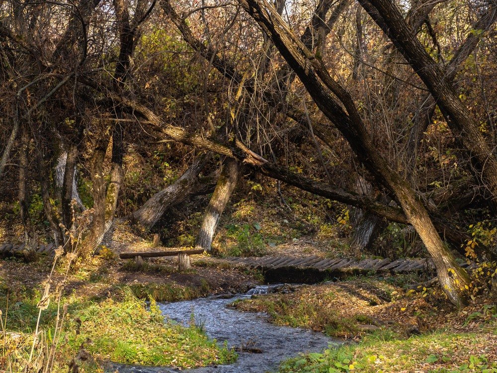 Photograph by mikhail goryachev