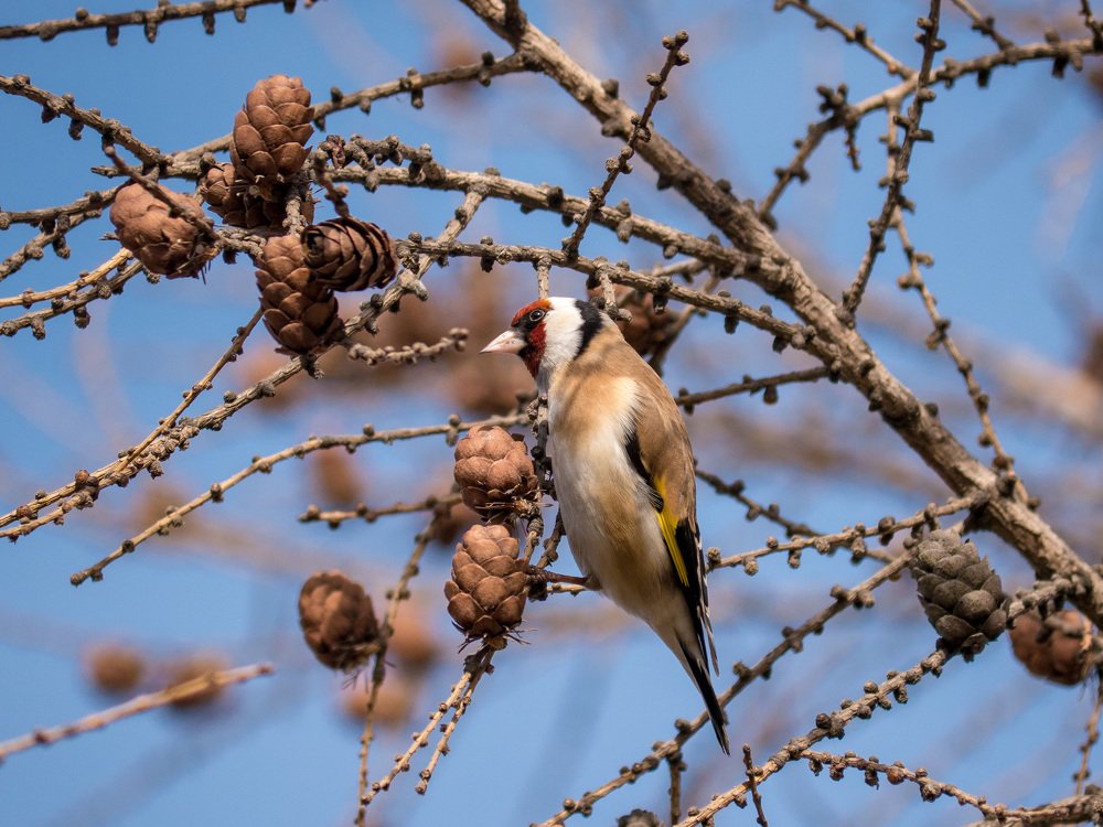 Photograph by Александр Максимов