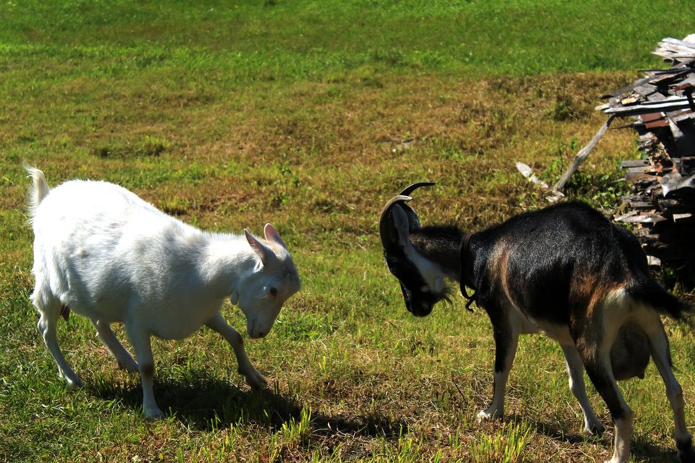 Photograph by Сергей Кочетов