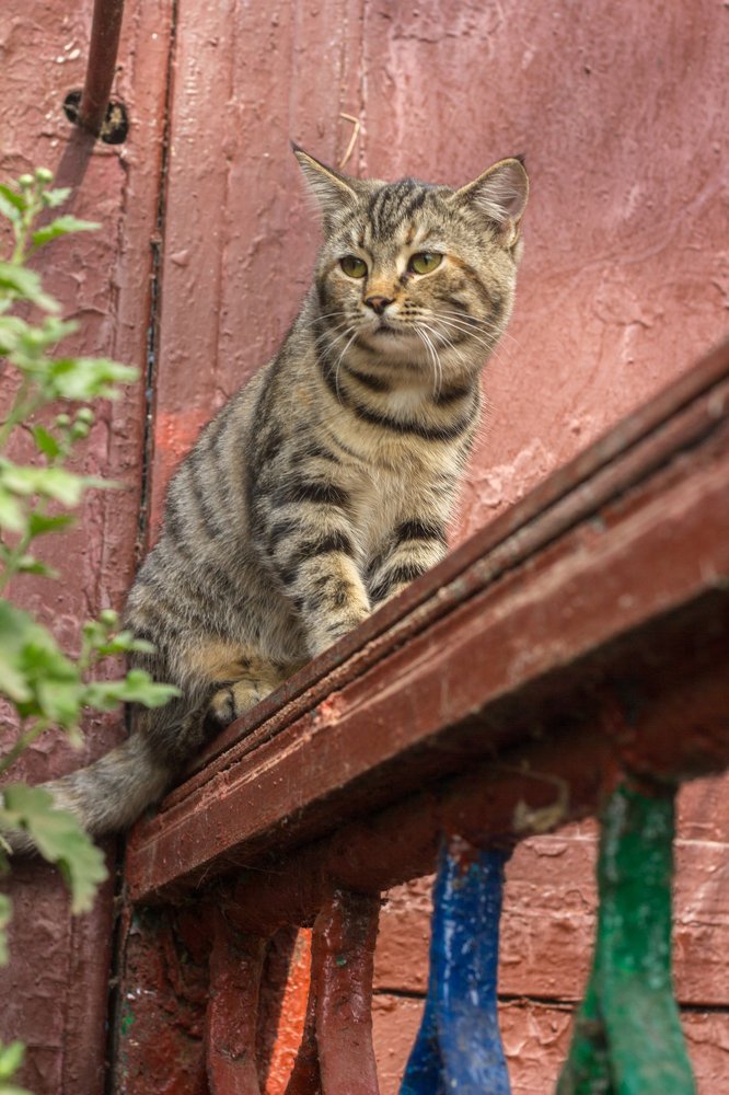 Photograph by Альфия Булатова