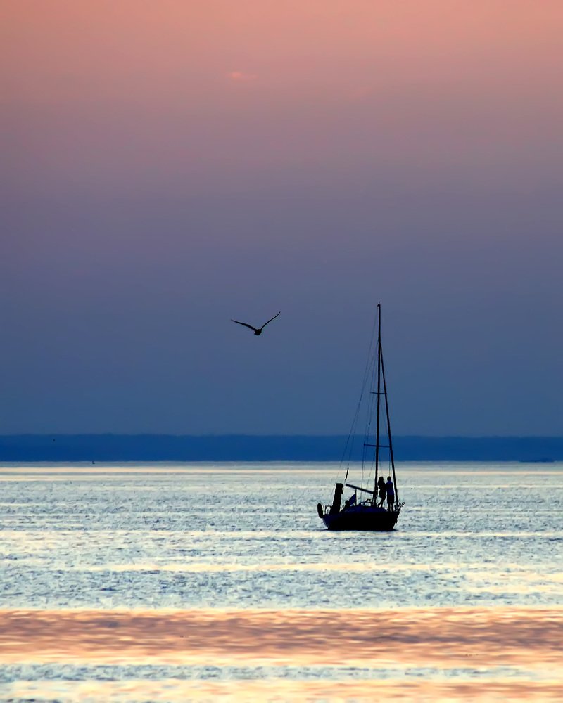 Photograph by Сергей Кочетов