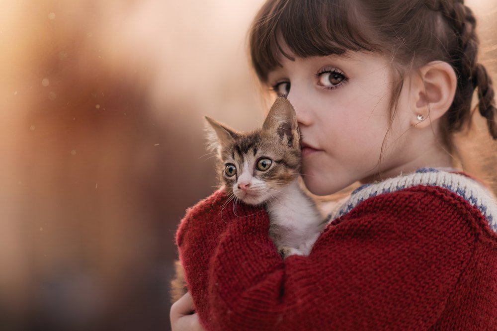 Photograph by Amalia Zilio