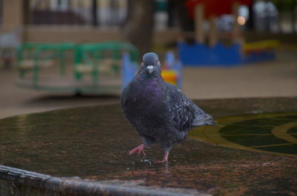 Photograph by Ольга Айдагулова