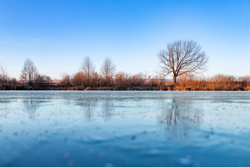 Photograph by Сергей Кочетов