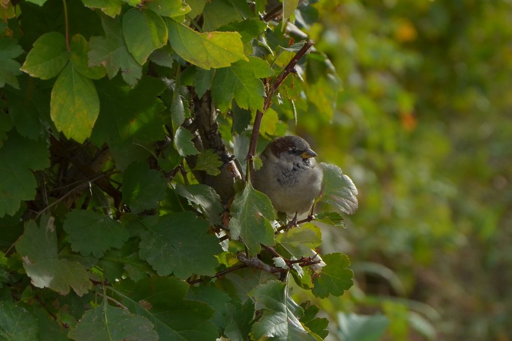 Photograph by Ольга Айдагулова