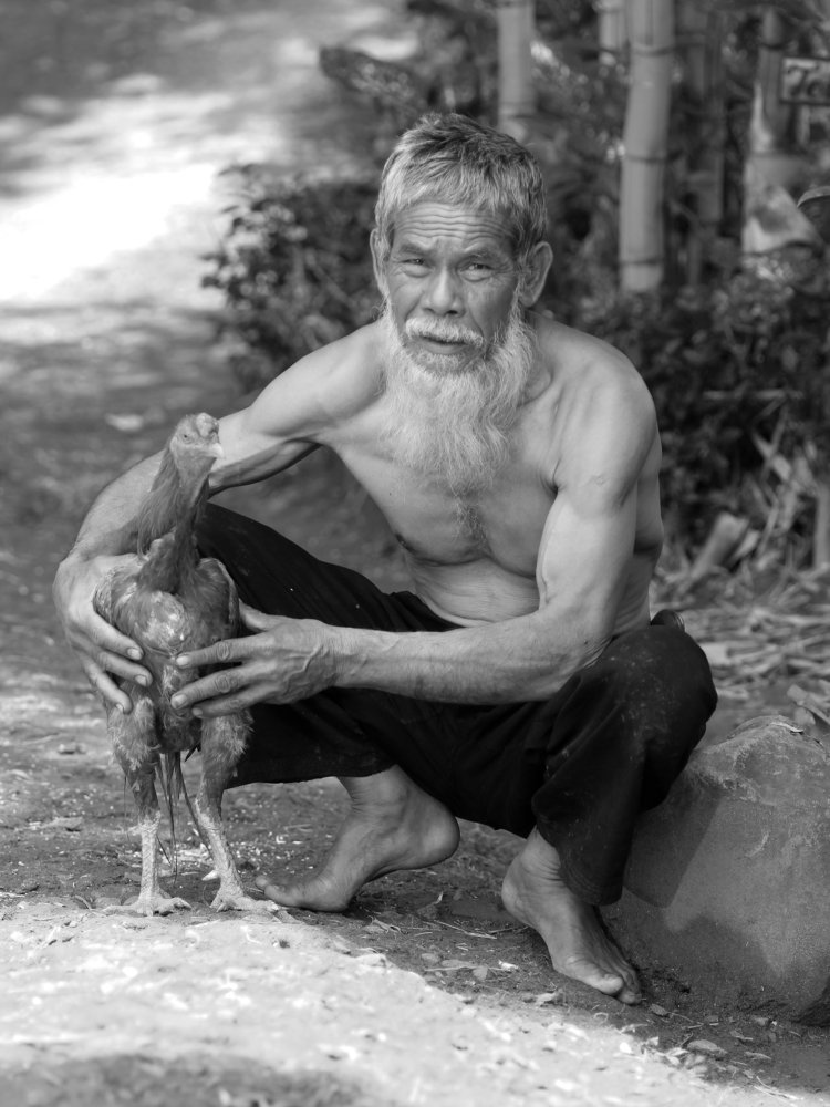 Photograph by Baraya Rocky