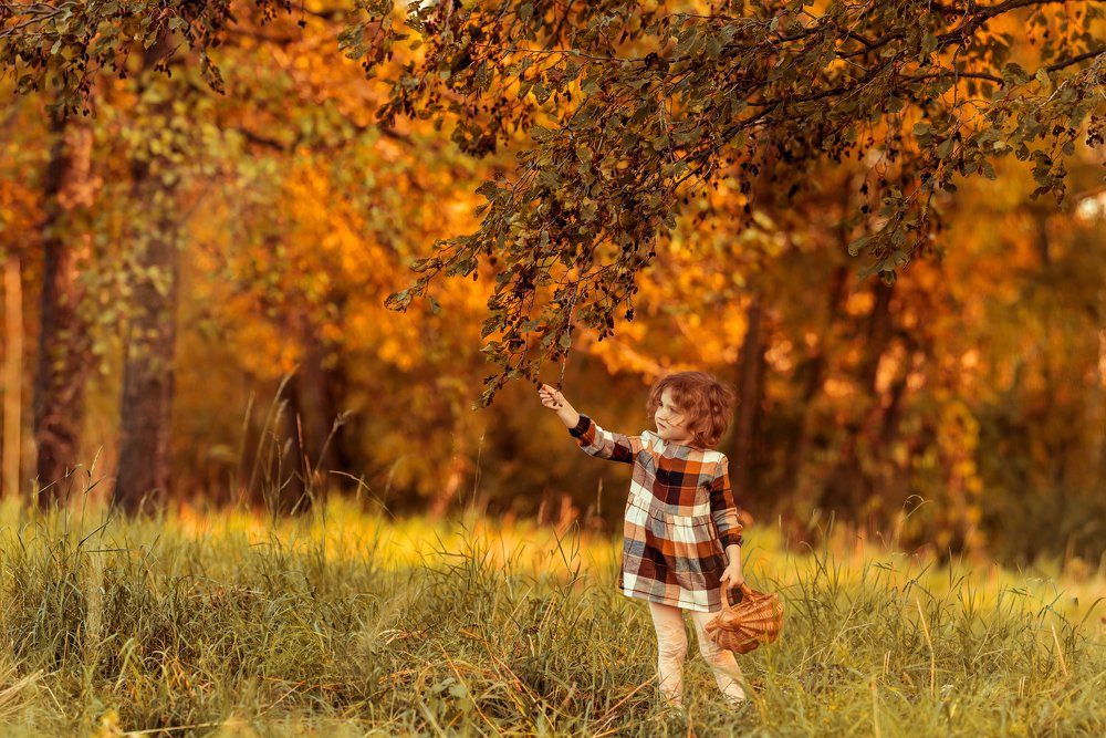 Фотография автора Мария Путилина