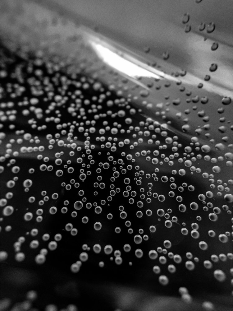 Фотография автора Наталья Алексеева