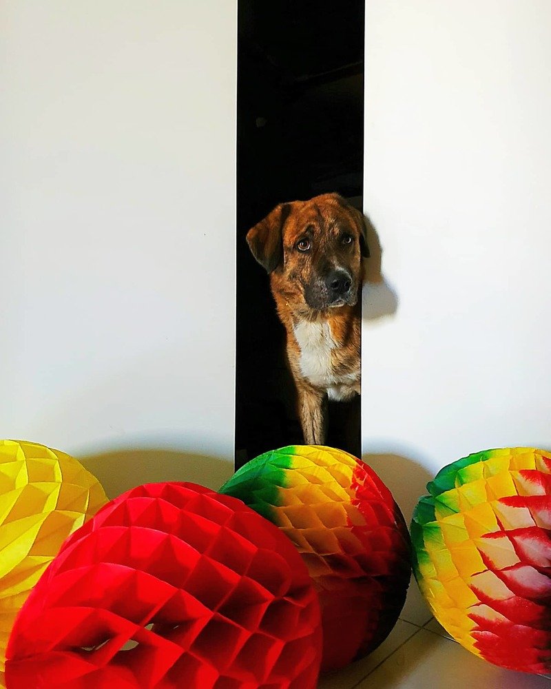 Photograph by Екатерина Маградзе