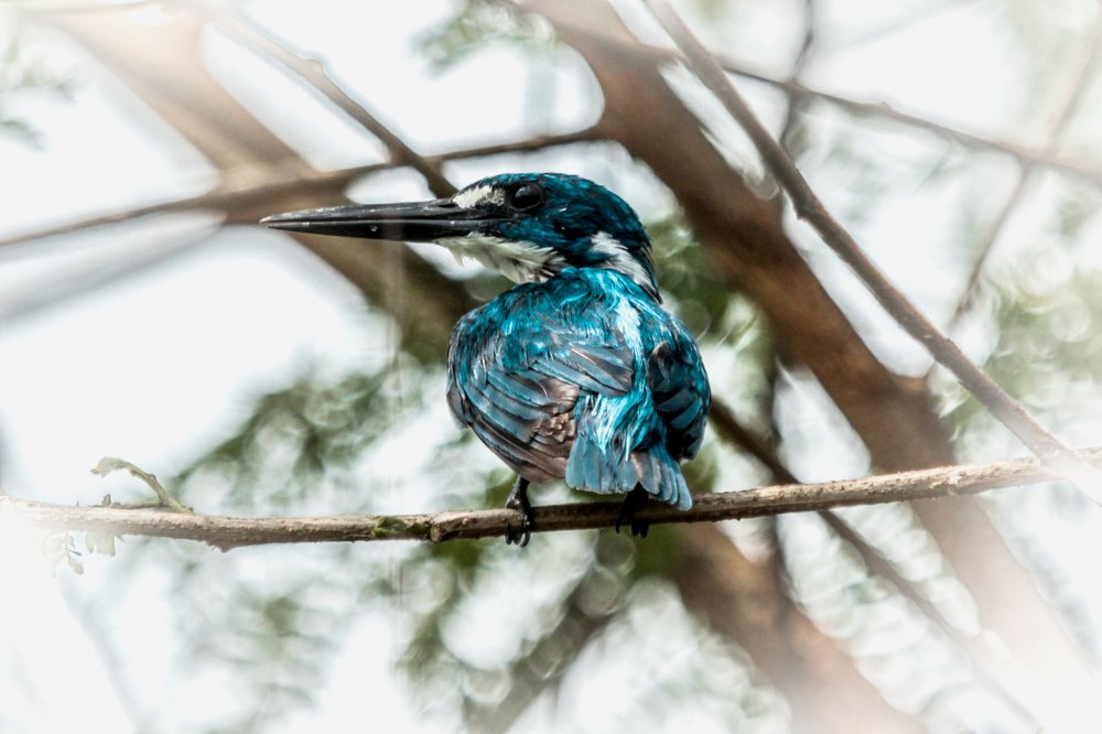 Photograph by Baraya Rocky