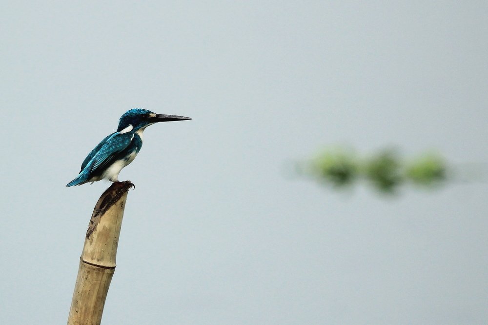 Photograph by Baraya Rocky