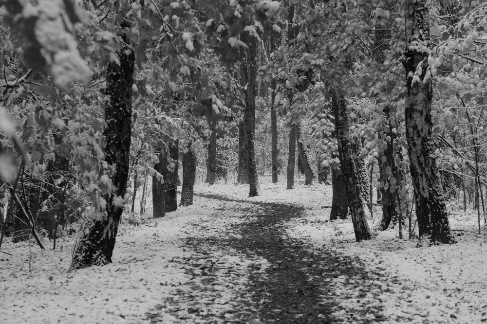Photograph by Дмитрий