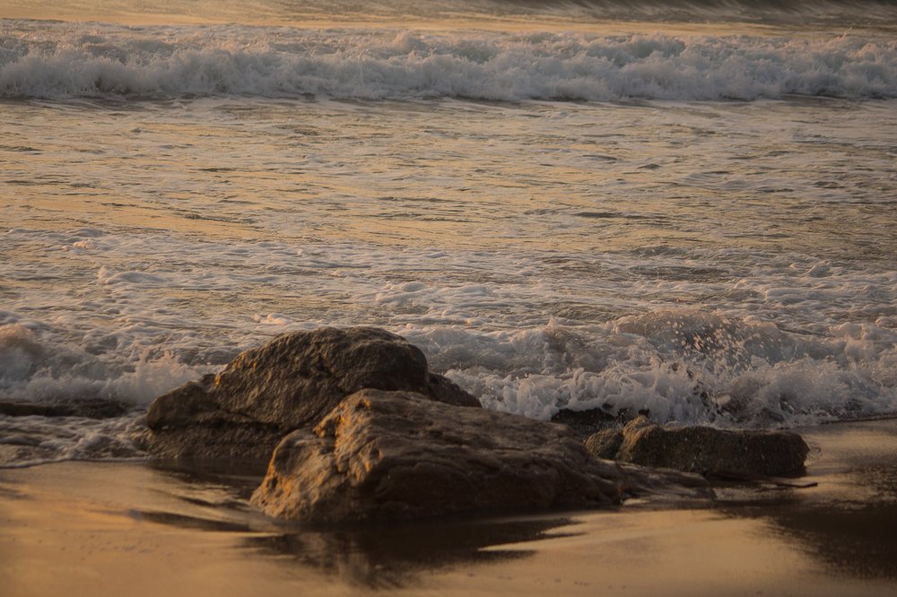 Photograph by Елена Шахова