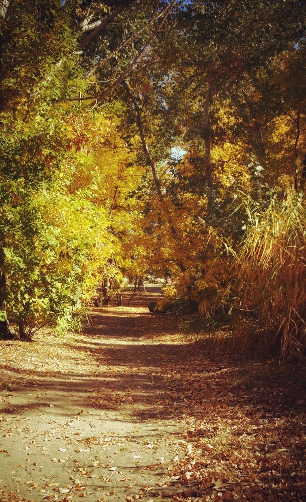 Photograph by Марина Гончарова