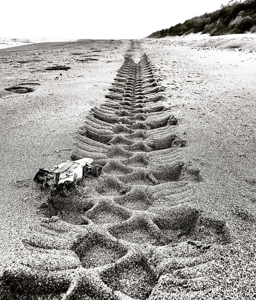 Photograph by Екатерина Маградзе