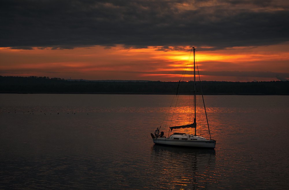 Photograph by Tomasz Szczesny