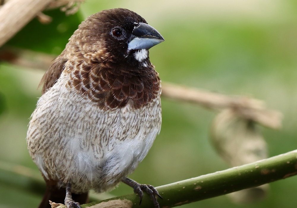 Photograph by Малика Маткарим