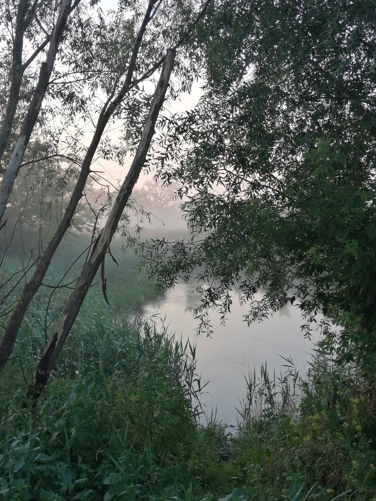 Photograph by Александр Симонов