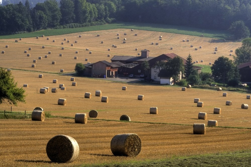 Психоделика. Psychedelic.