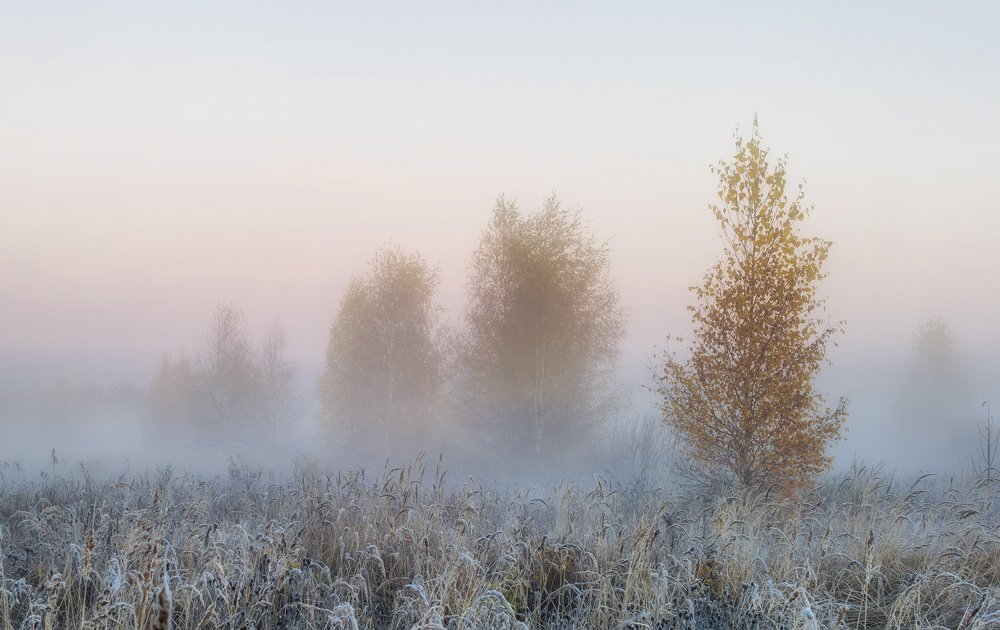 Photograph by Константин Гончаров