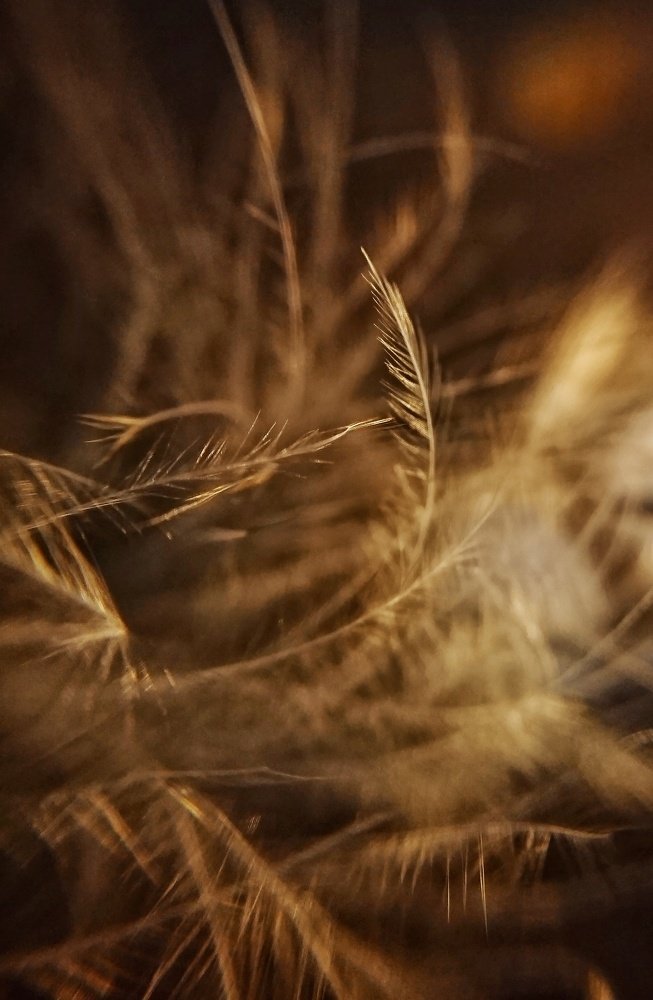 Photograph by Елизавета Лутцева