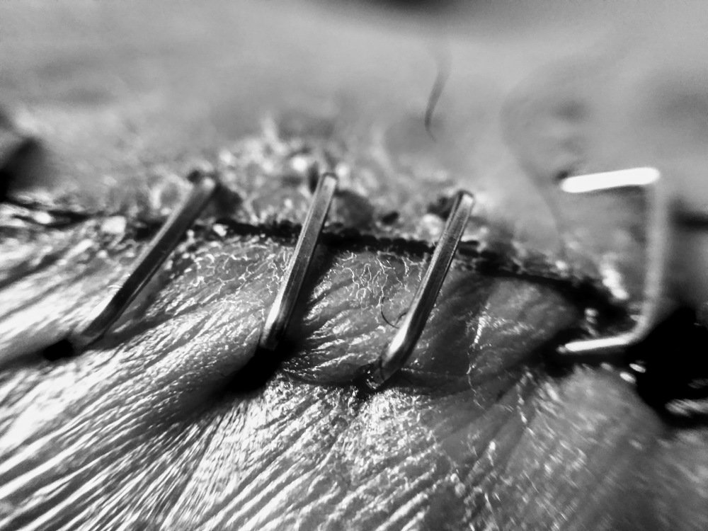 Photograph by DAMOUN POURNEMATI