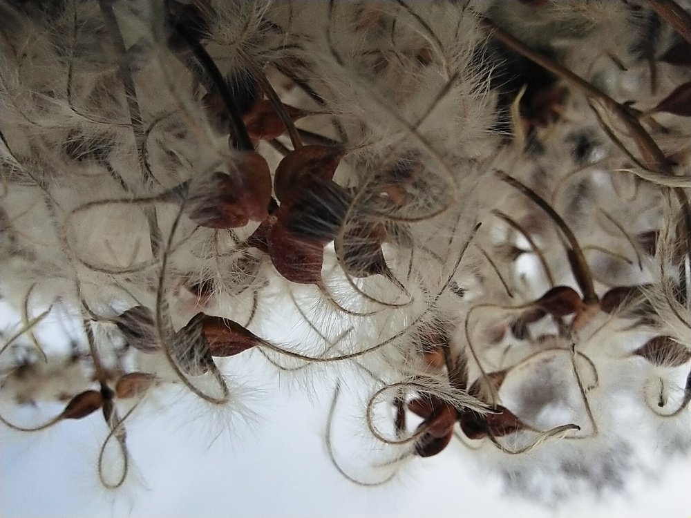 Photograph by Александра Лукашевич