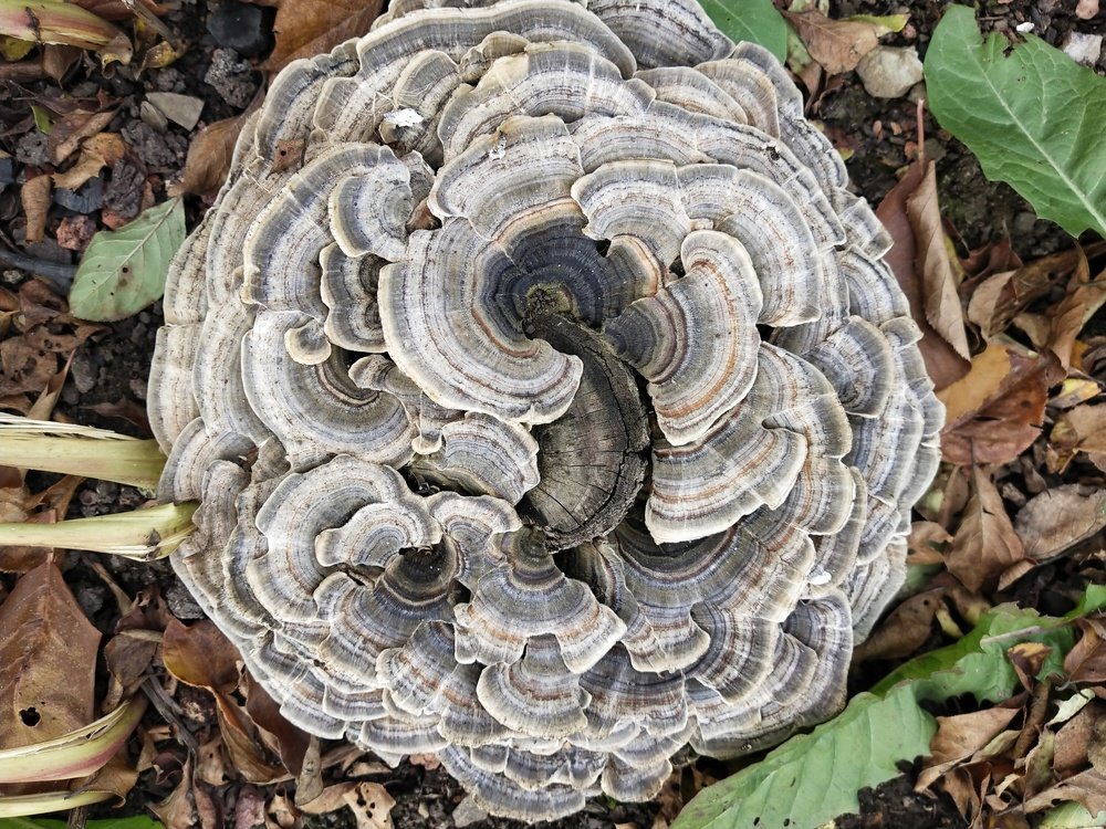 Photograph by Александра Лукашевич