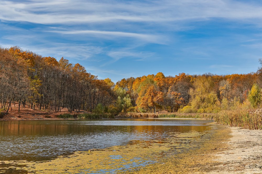 Озеро Паршино