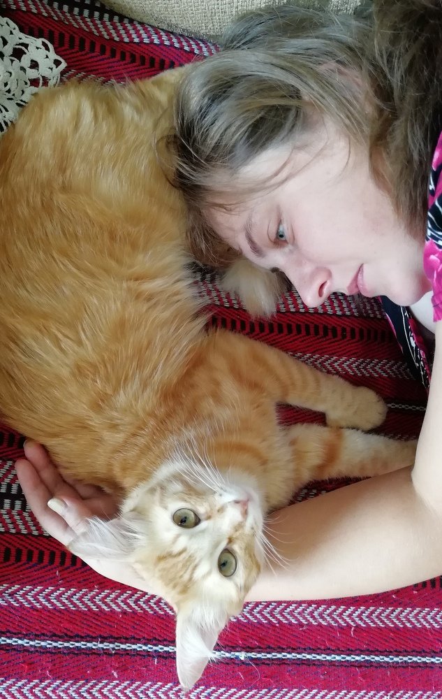 Photograph by Михаил Кузьмиченко