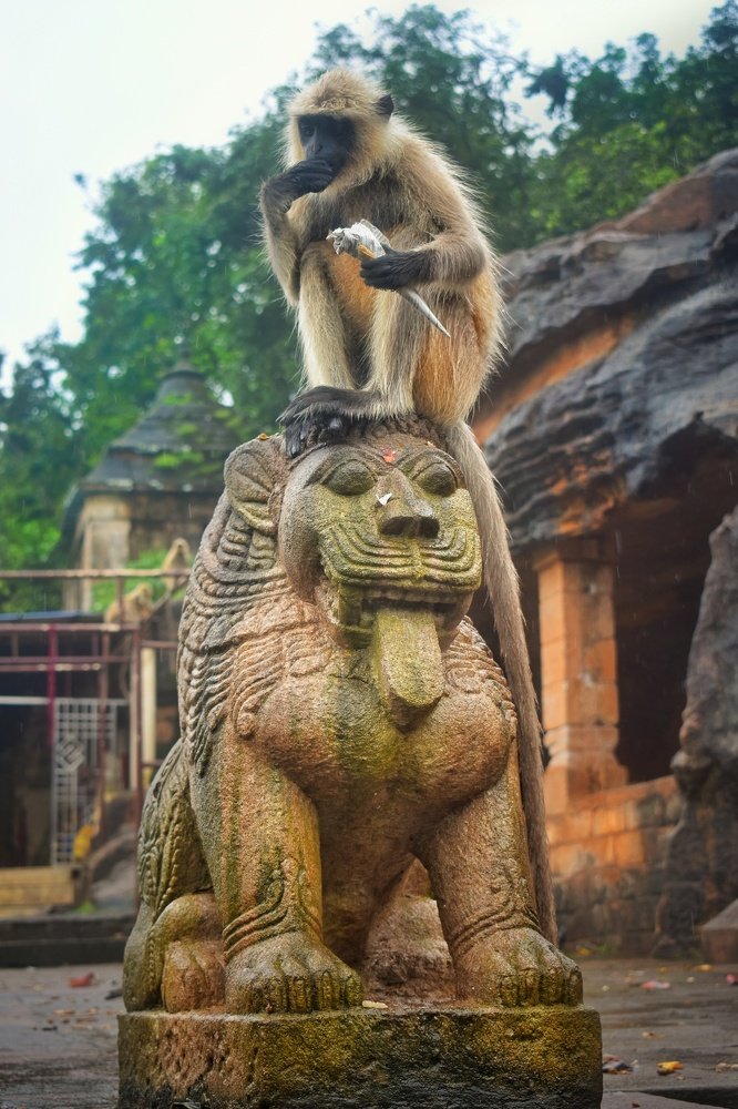 A monkey is sitting on the sculpture of a lion.